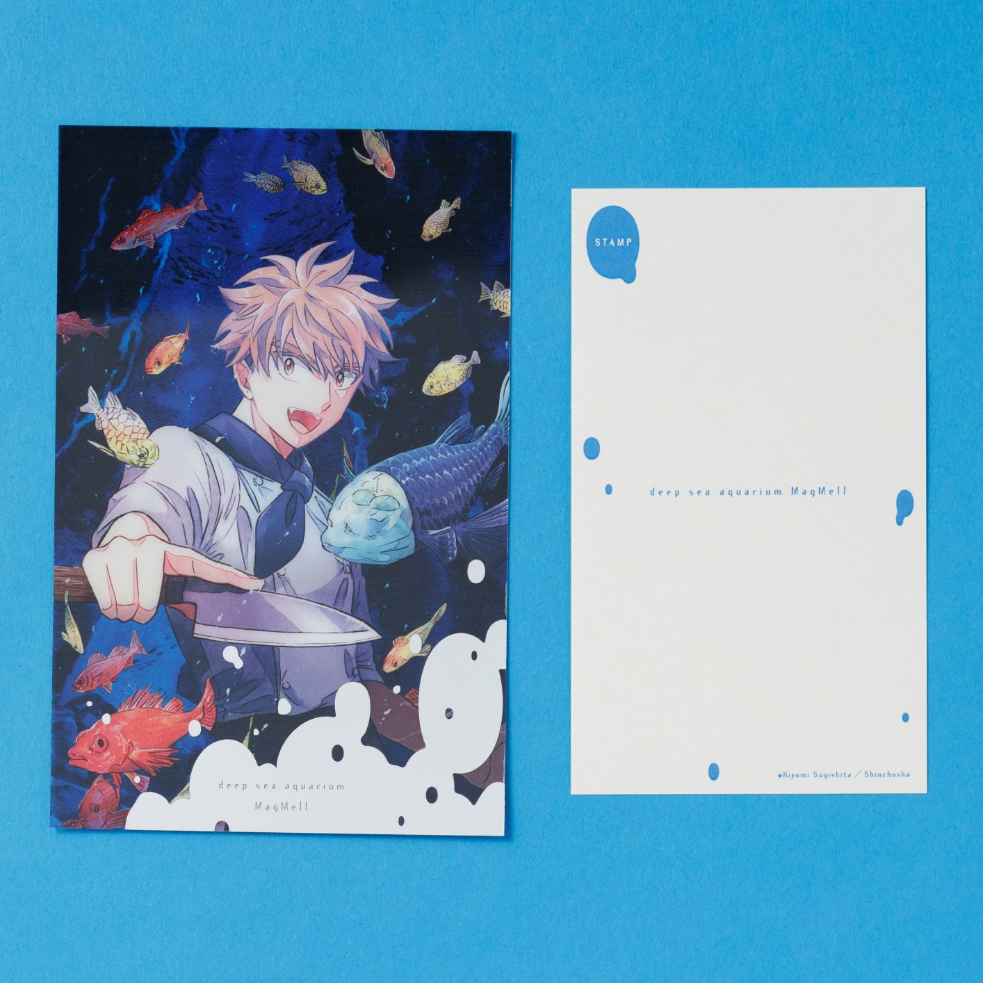 マグメル深海水族館』クリアポストカード⑥（堂ヶ島嵐） – 新潮ショップ