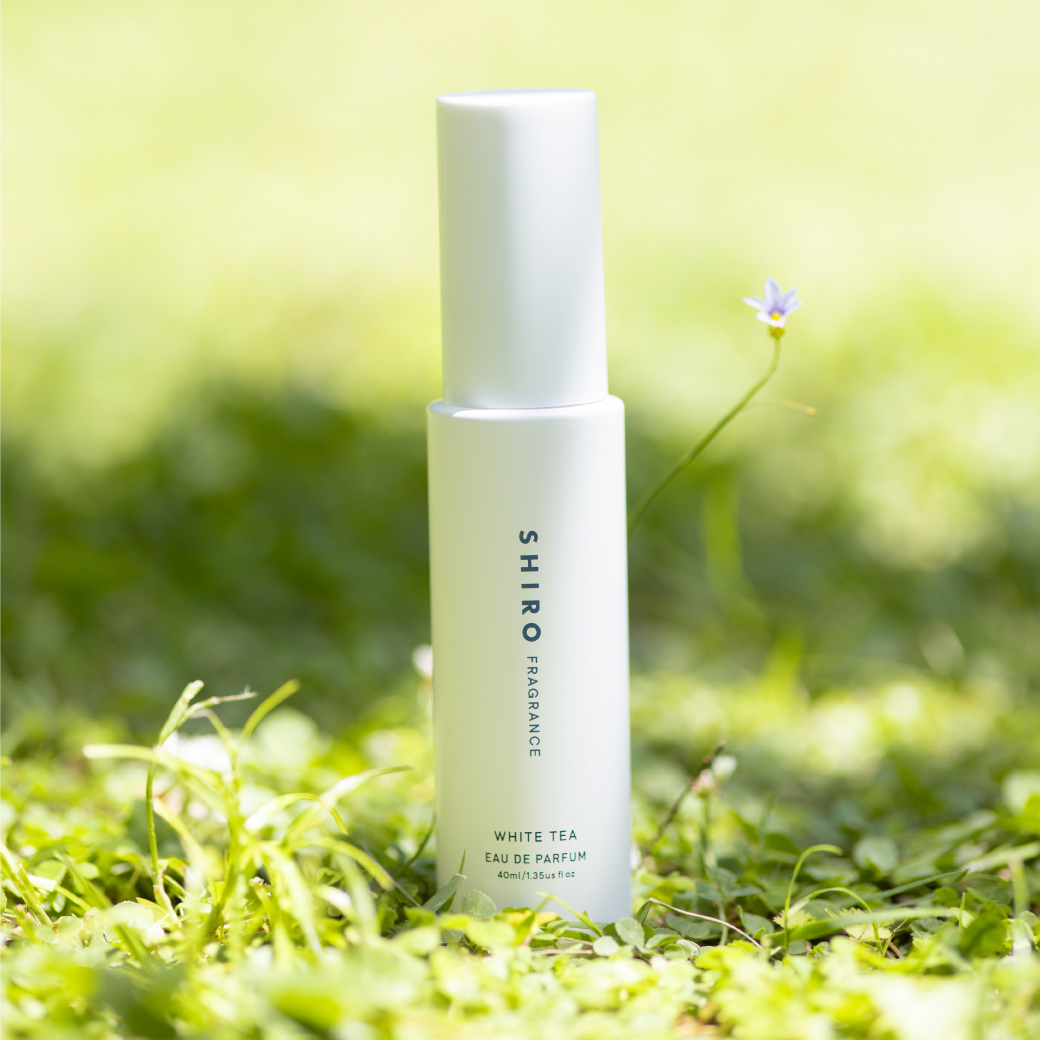 ゼロホワイトティー オードパルファン(2024年発売) | SHIRO
