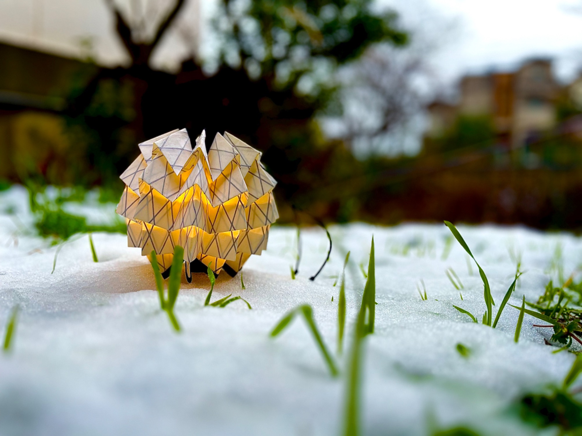 ソルオルといえばこのデザイン！元祖ホワイトX-PACのLサイズ！[2024.02