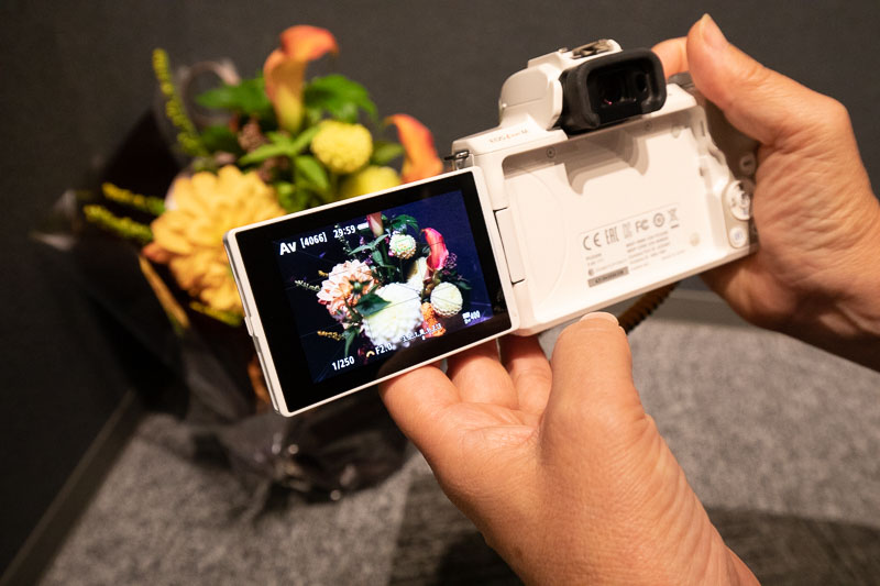 EF-M 22mm F2使用レビューと作例 | EOS Kiss M/M2用の単焦点レンズをご