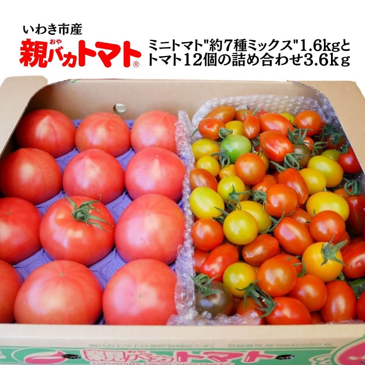 ミニトマトミックス1.6kgとMサイズトマト12個の詰め合わせ3.6kg 税込