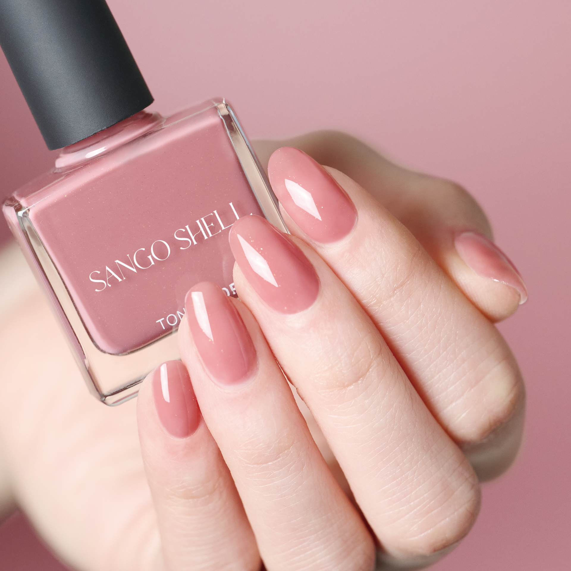 40_SangoShell.png?v=1749028608