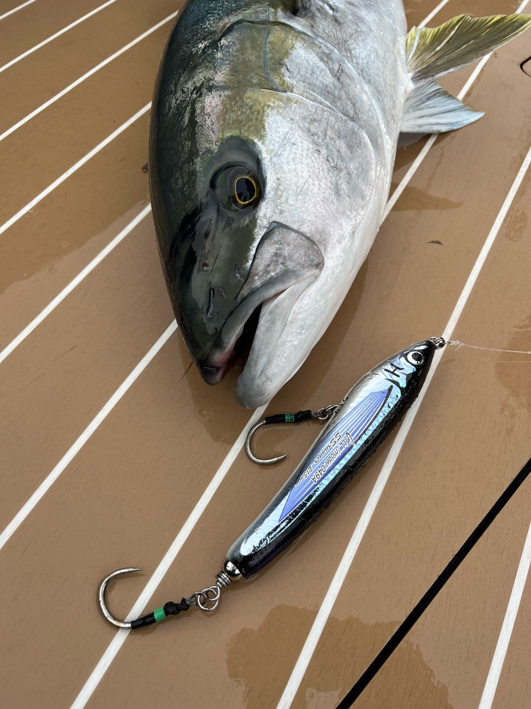 SSランナー | カーペンタールアー、ロッド研究室