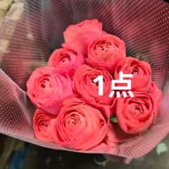 ラナンキュラス オーシュ 28センチ位 10本❲切り花生花バラ❳3 - メルカリ