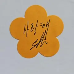 2026年最新】enhypen サイン ソヌの人気アイテム - メルカリ