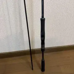 2026年最新】インターライン シーバスロッド ダイワの人気アイテム