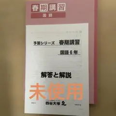 2026年最新】四谷大塚春期講習6年の人気アイテム - メルカリ