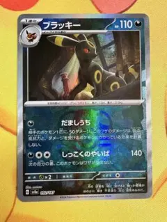 2026年最新】マスターボール ブラッキーの人気アイテム - メルカリ