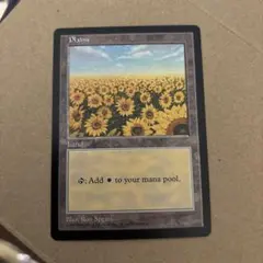 2026年最新】mtg ひまわりの人気アイテム - メルカリ