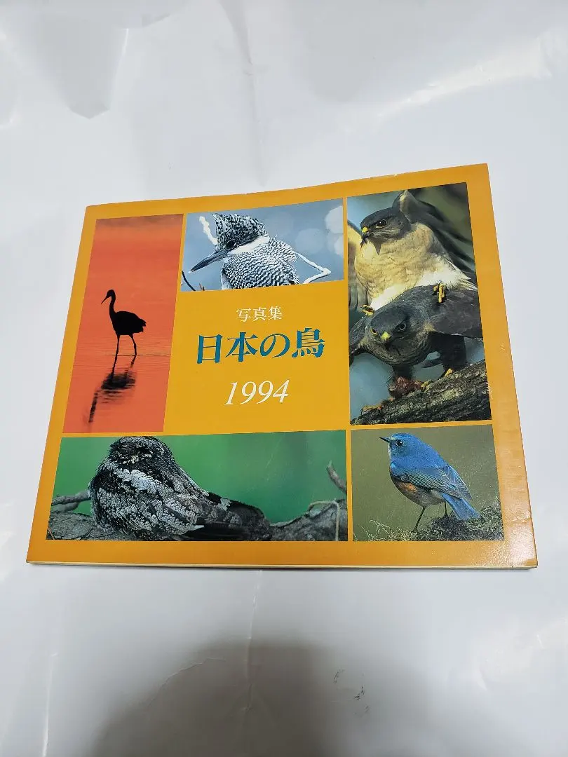 2026年最新】birder バーダーの人気アイテム - メルカリ