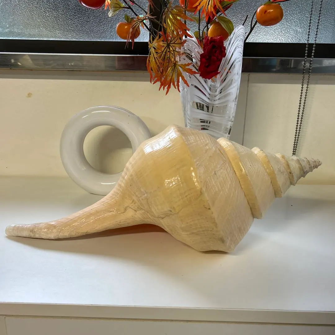 2026年最新】アラフラオオニシの人気アイテム - メルカリ