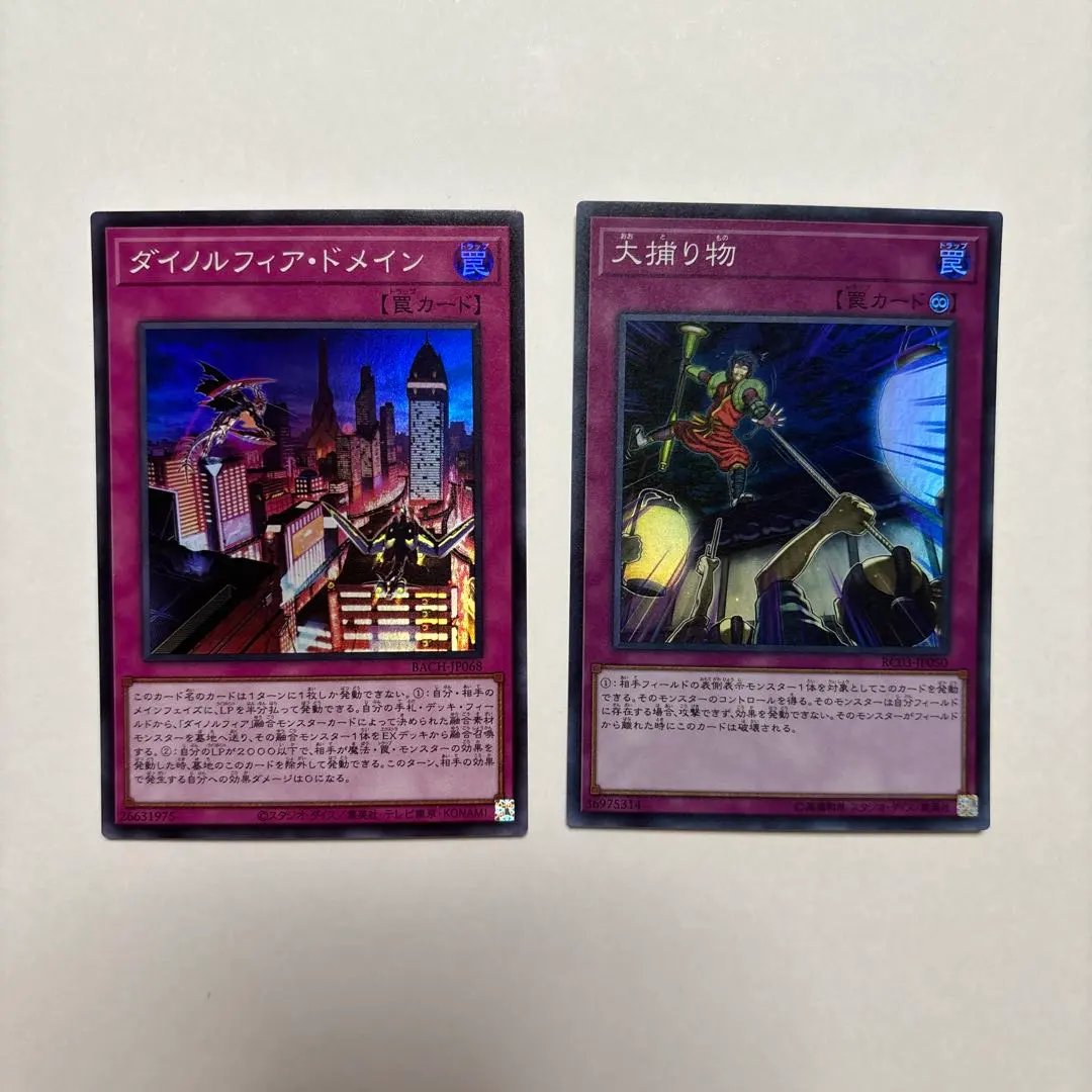 2026年最新】ダイノルフィア スリーブの人気アイテム - メルカリ