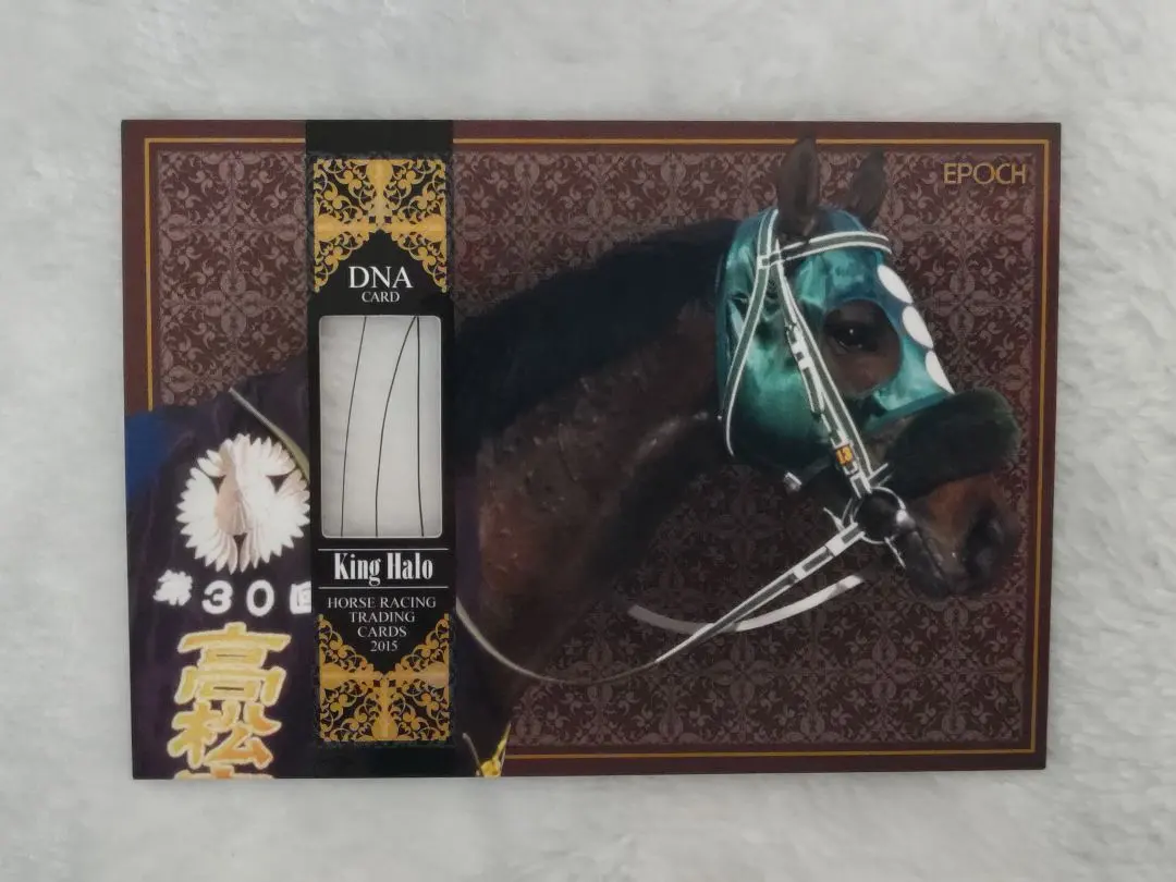 2026年最新】ホースレーシング dnaの人気アイテム - メルカリ