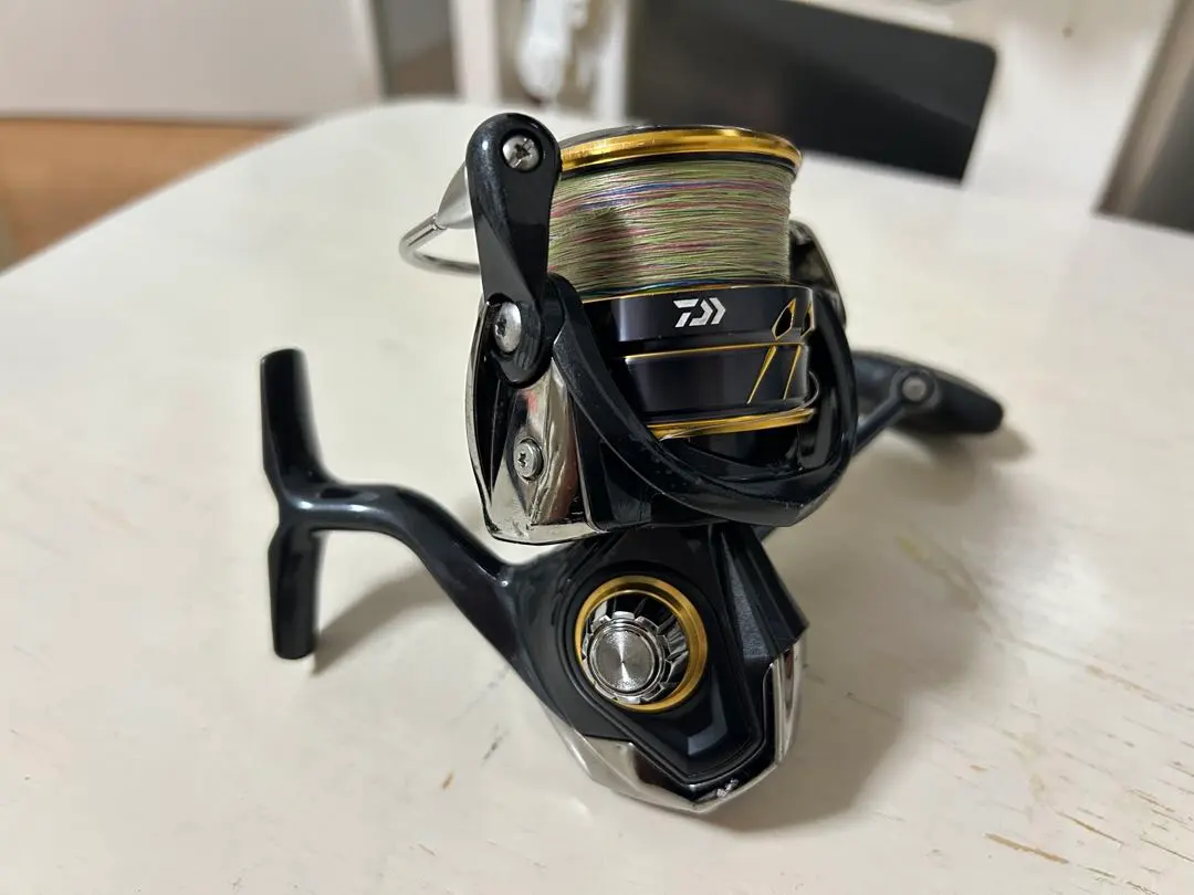2026年最新】ダイワ カルディア LT4000-CXHの人気アイテム - メルカリ