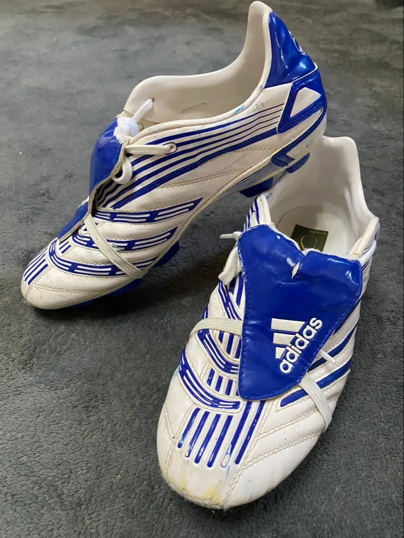 2026年最新】アブソリュート プレデターの人気アイテム - メルカリ