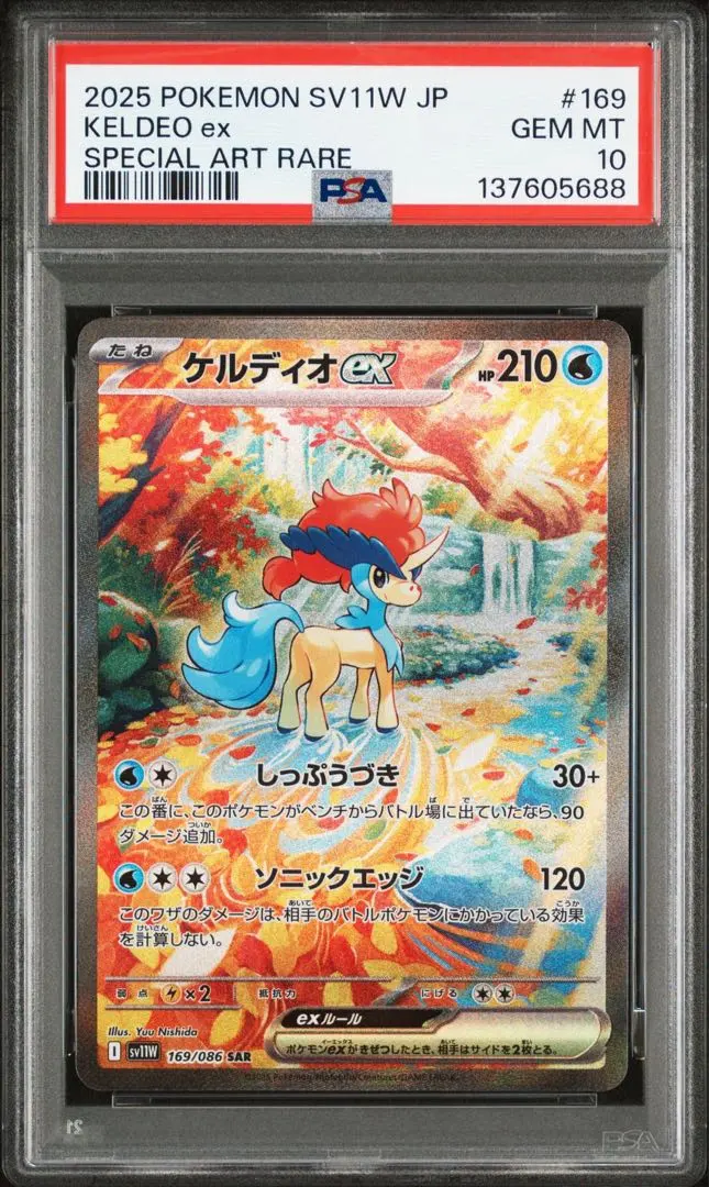 2026年最新】ケルディオex psa10の人気アイテム - メルカリ