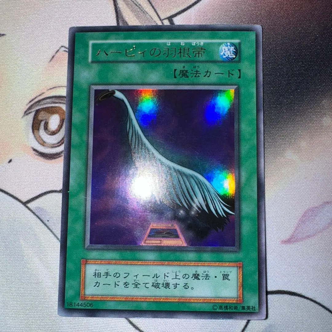 2026年最新】ハーピィの羽根帚 25の人気アイテム - メルカリ