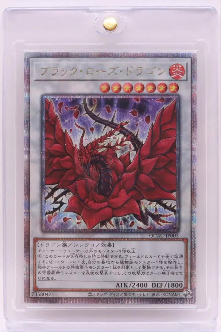 2026年最新】ブラックローズドラゴン 20thの人気アイテム - メルカリ