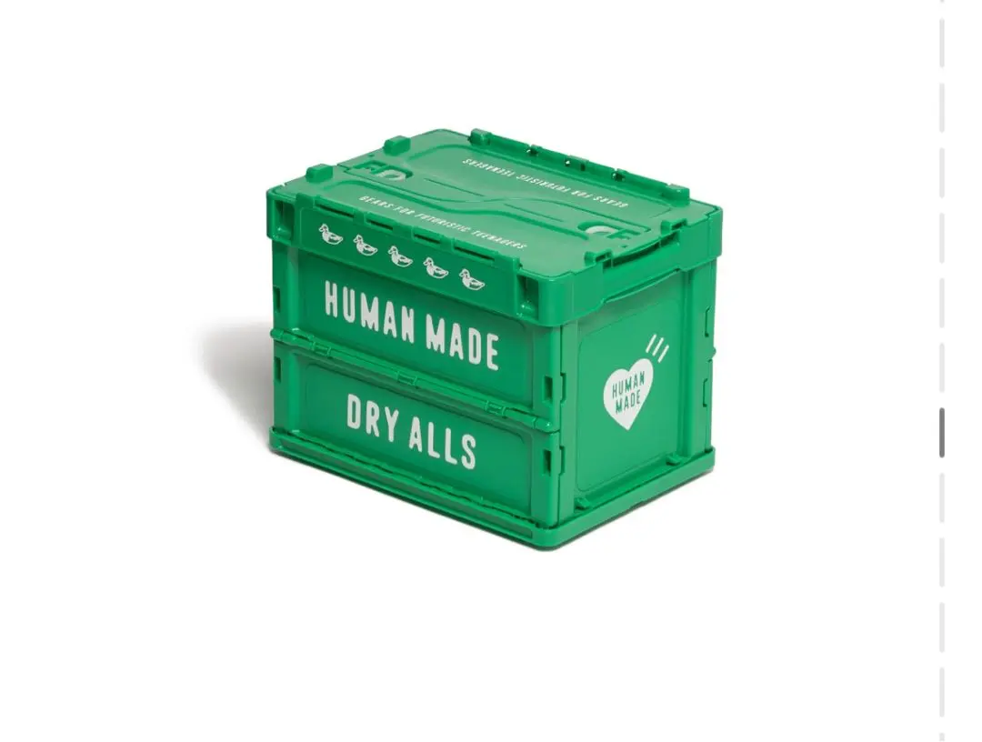 m34135931971_1.jpg?1767890353