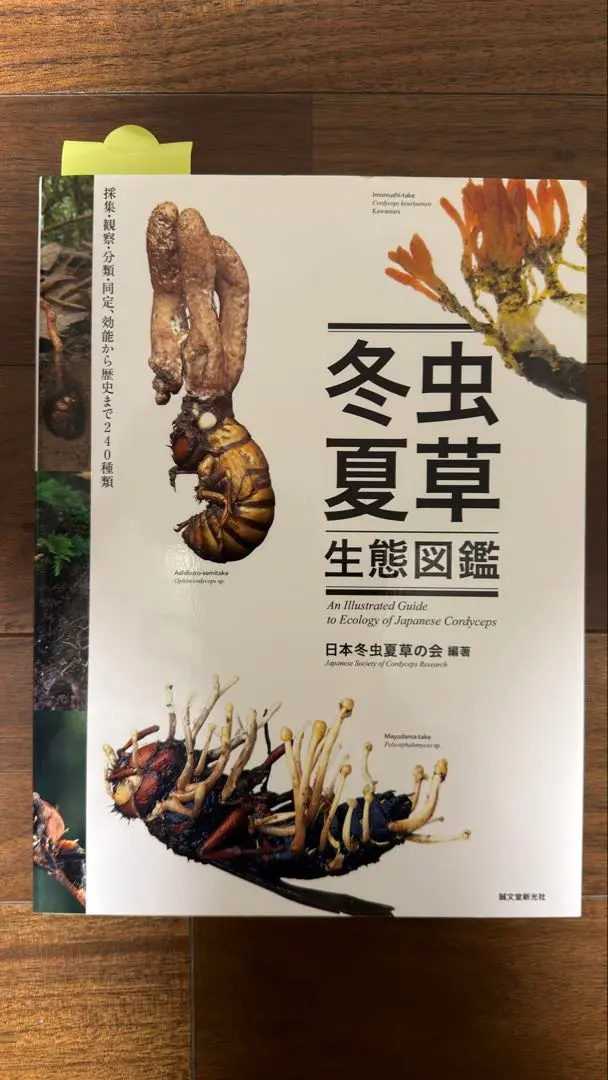 2026年最新】冬虫夏草生態図鑑の人気アイテム - メルカリ