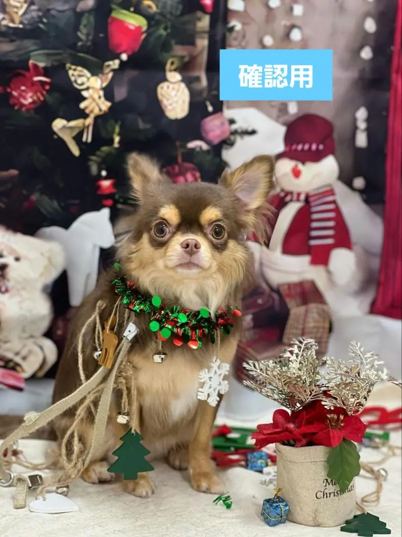 2026年最新】hwara クリスマス缶の人気アイテム - メルカリ