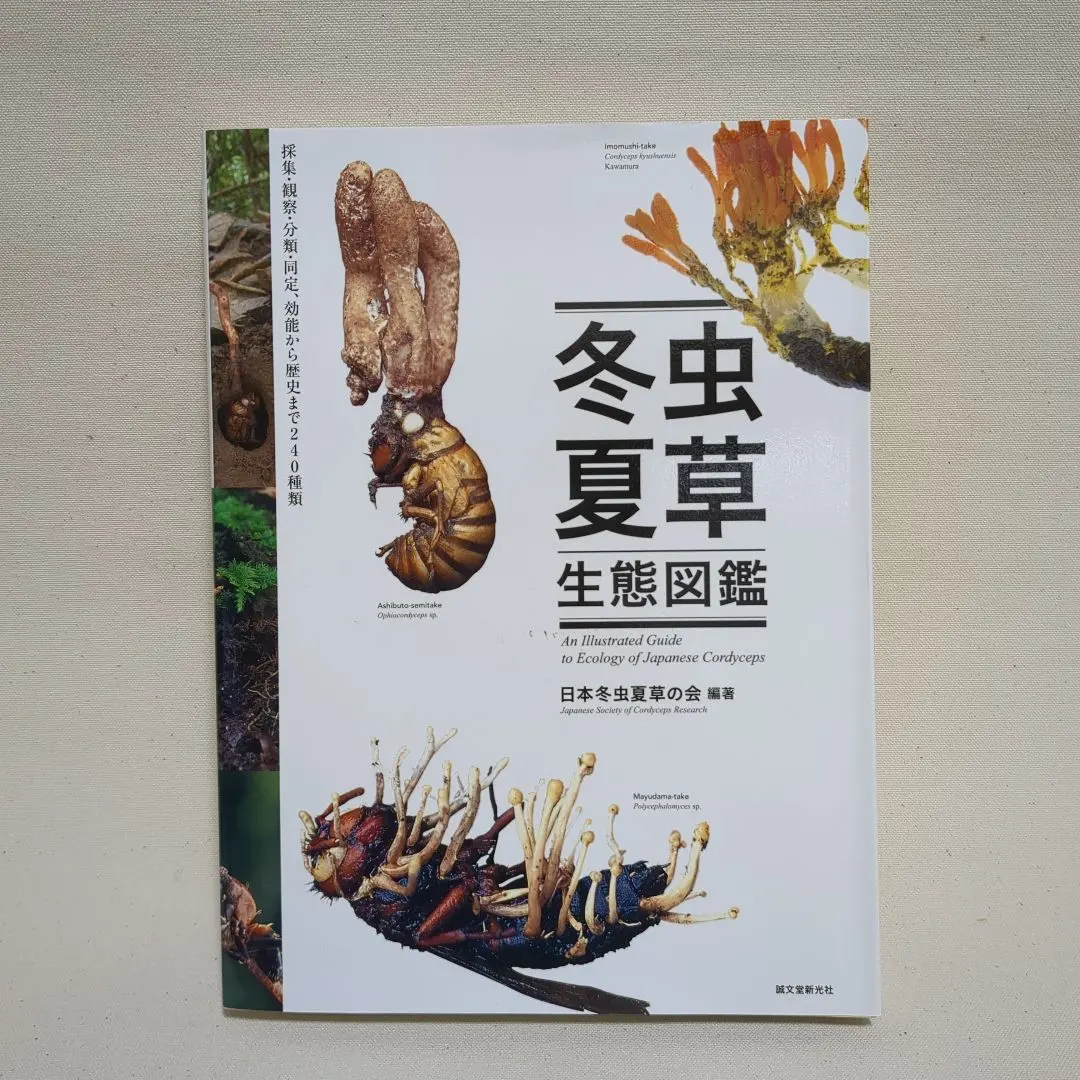 2026年最新】冬虫夏草図鑑の人気アイテム - メルカリ