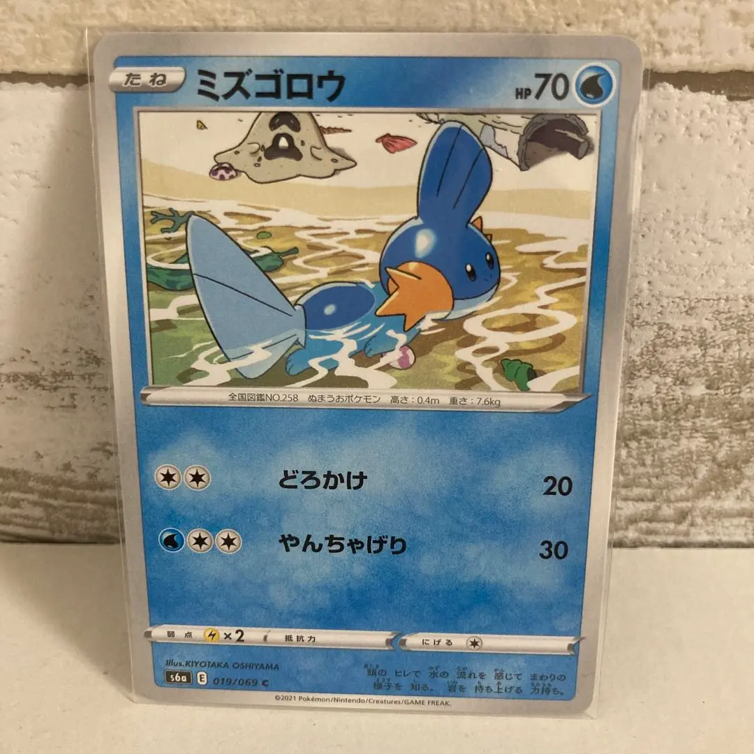 2026年最新】ポケモンカード ミズゴロウ 109/xy-pの人気アイテム