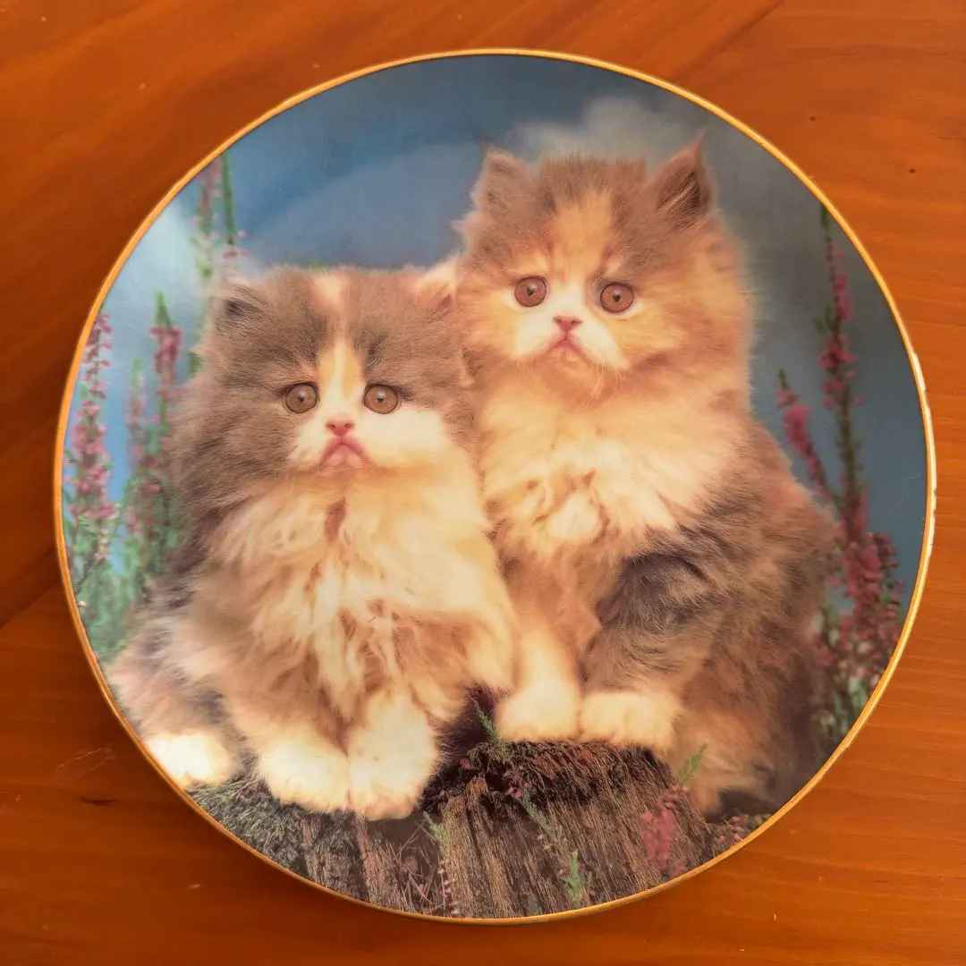 2026年最新】レズリー・アン・アイボリーの人気アイテム - メルカリ