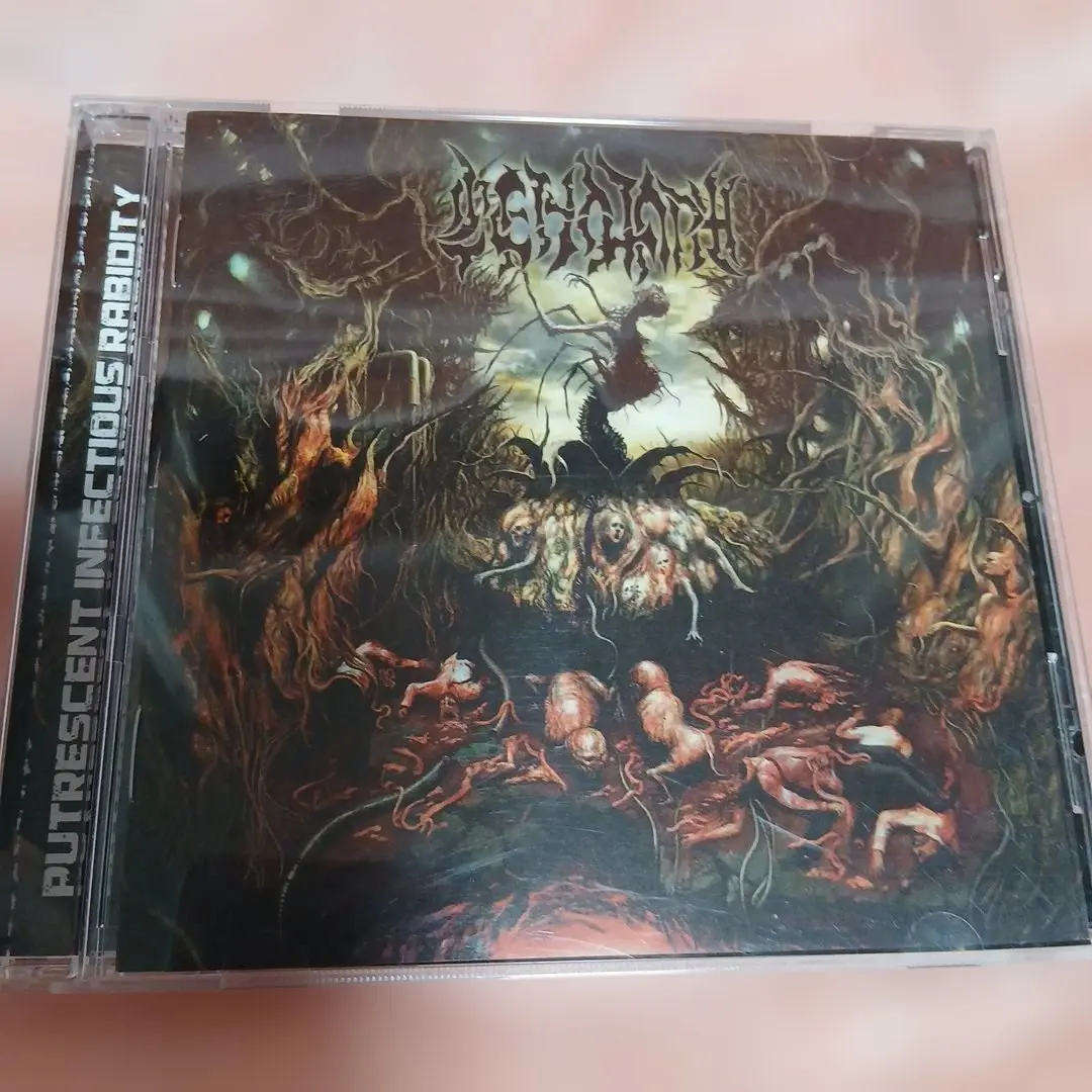 2026年最新】スラミング・ブルータル・デスメタルの人気アイテム