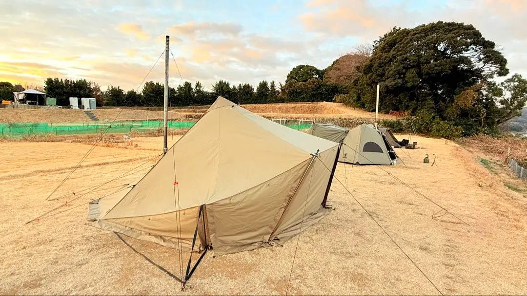 2026年最新】ゼインアーツ ウータの人気アイテム - メルカリ