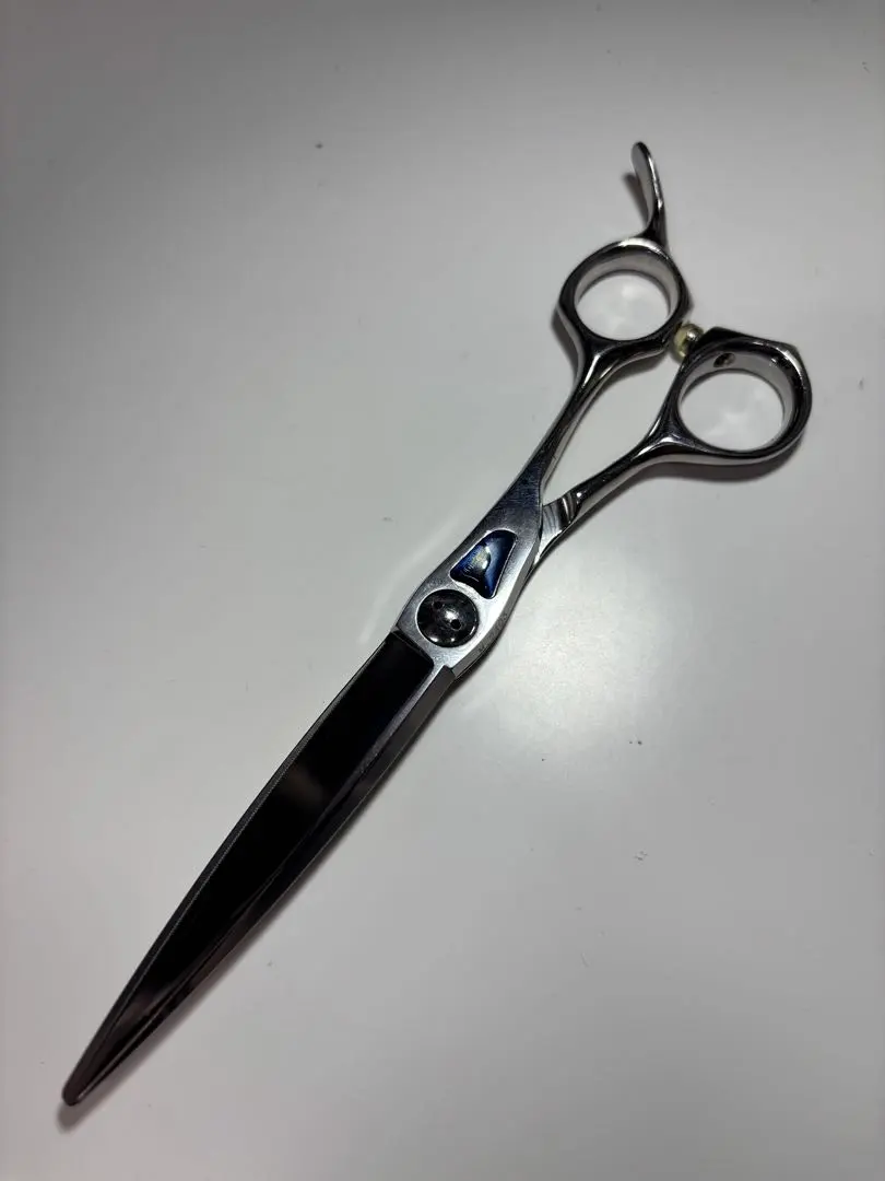 2026年最新】トギノン マリンシャークの人気アイテム - メルカリ