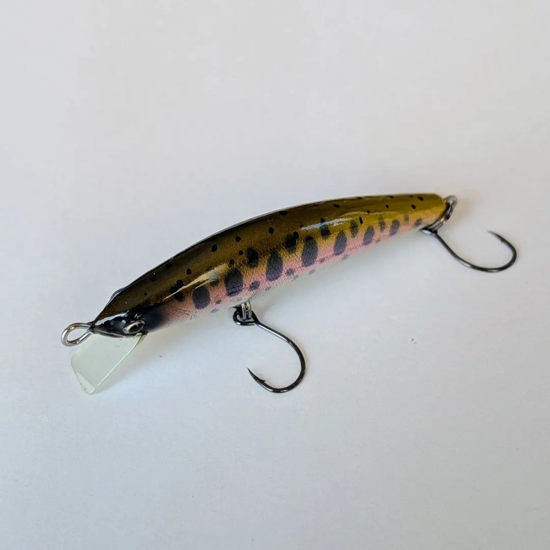 2026年最新】レイチューン(ray tune) ルアーの人気アイテム - メルカリ