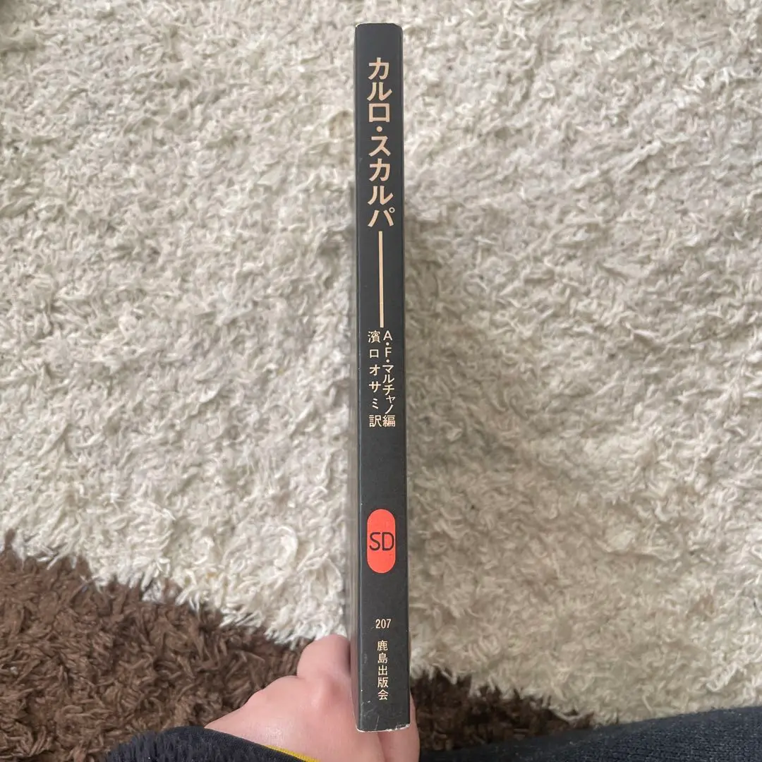 2026年最新】カルロ・スカルパの人気アイテム - メルカリ