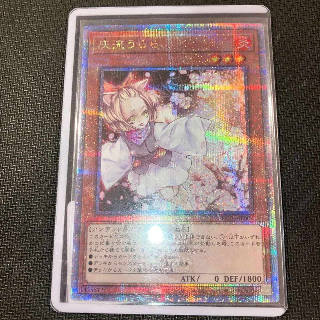 2026年最新】はるうらら 25thの人気アイテム - メルカリ