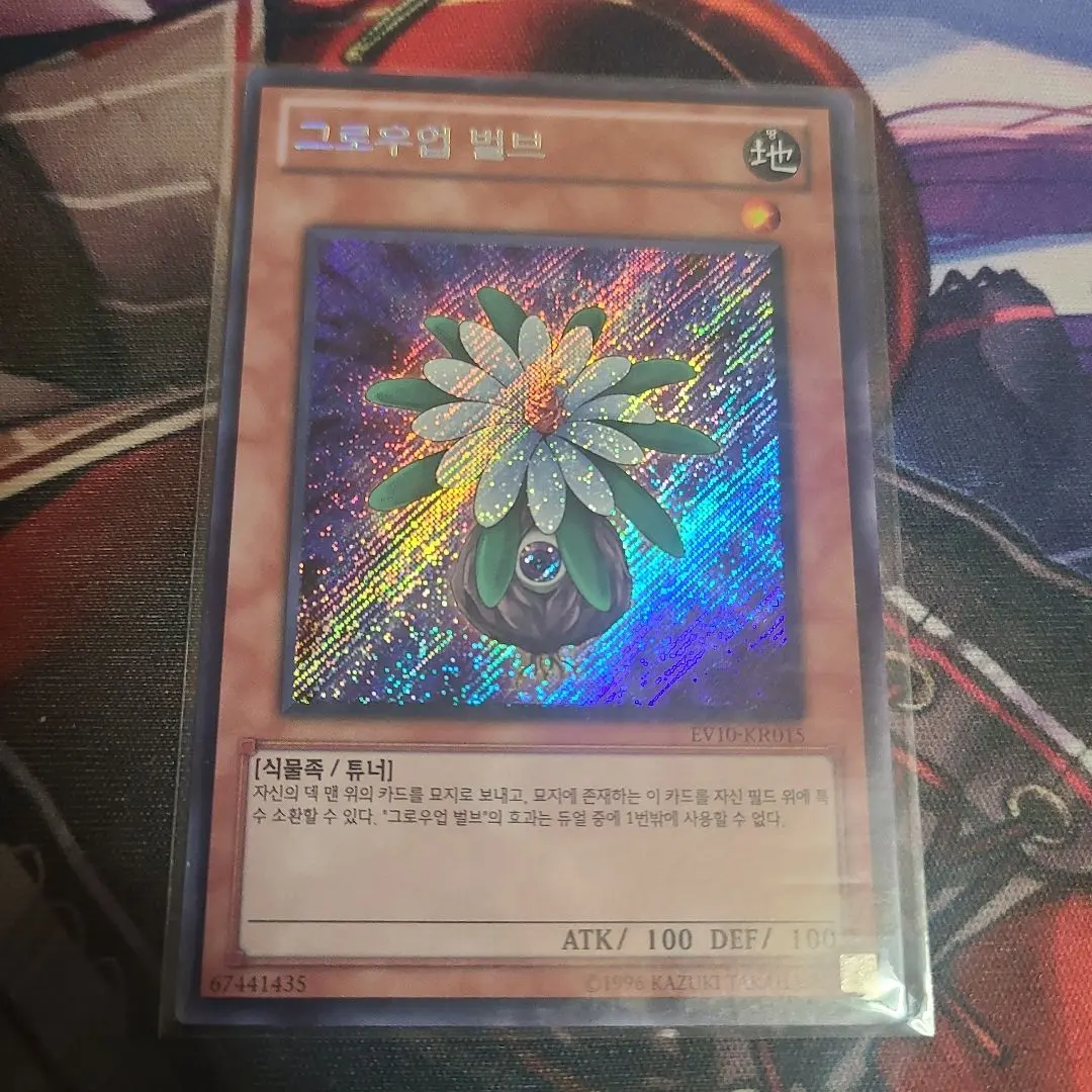 2026年最新】遊戯王 韓国 evの人気アイテム - メルカリ