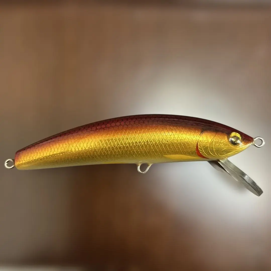 2026年最新】oraミノーの人気アイテム - メルカリ