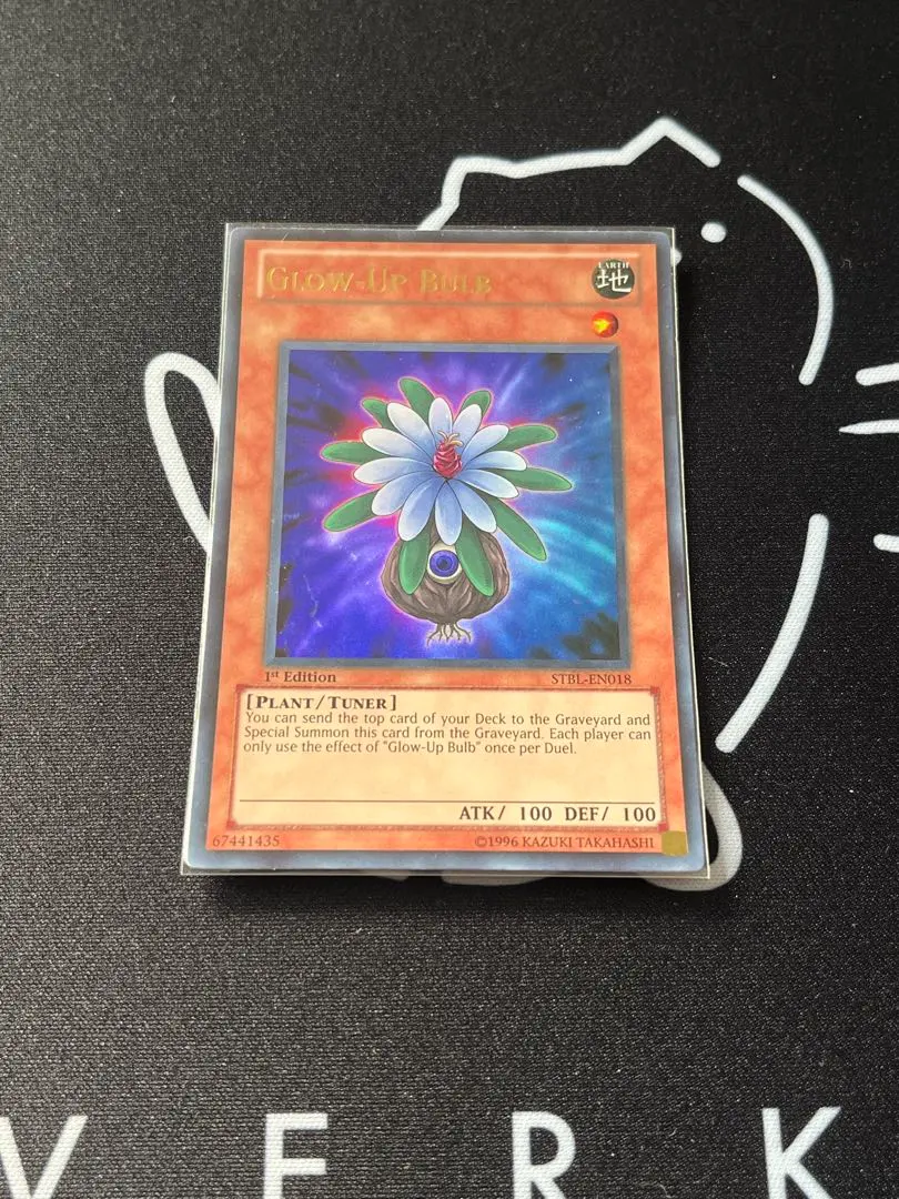 2026年最新】グローアップ・バルブ 英語の人気アイテム - メルカリ