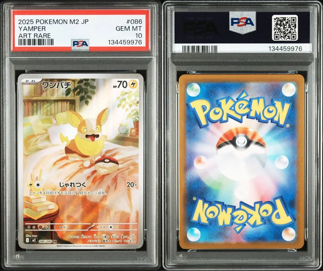 2026年最新】psa10 わんぱちの人気アイテム - メルカリ