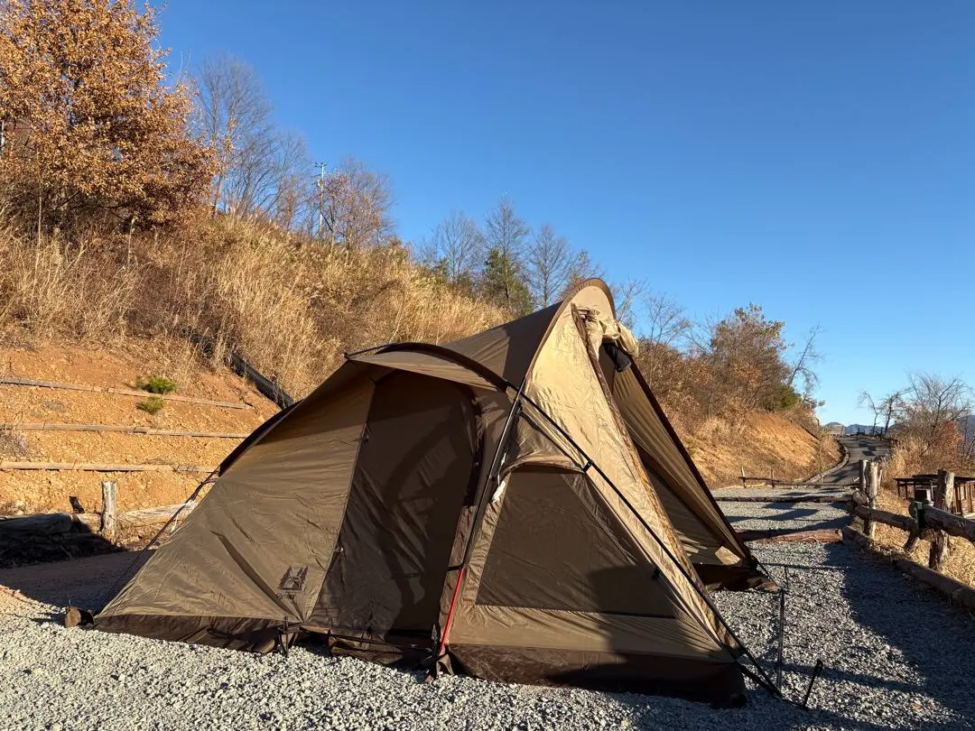 2026年最新】ヴィガス ポールの人気アイテム - メルカリ