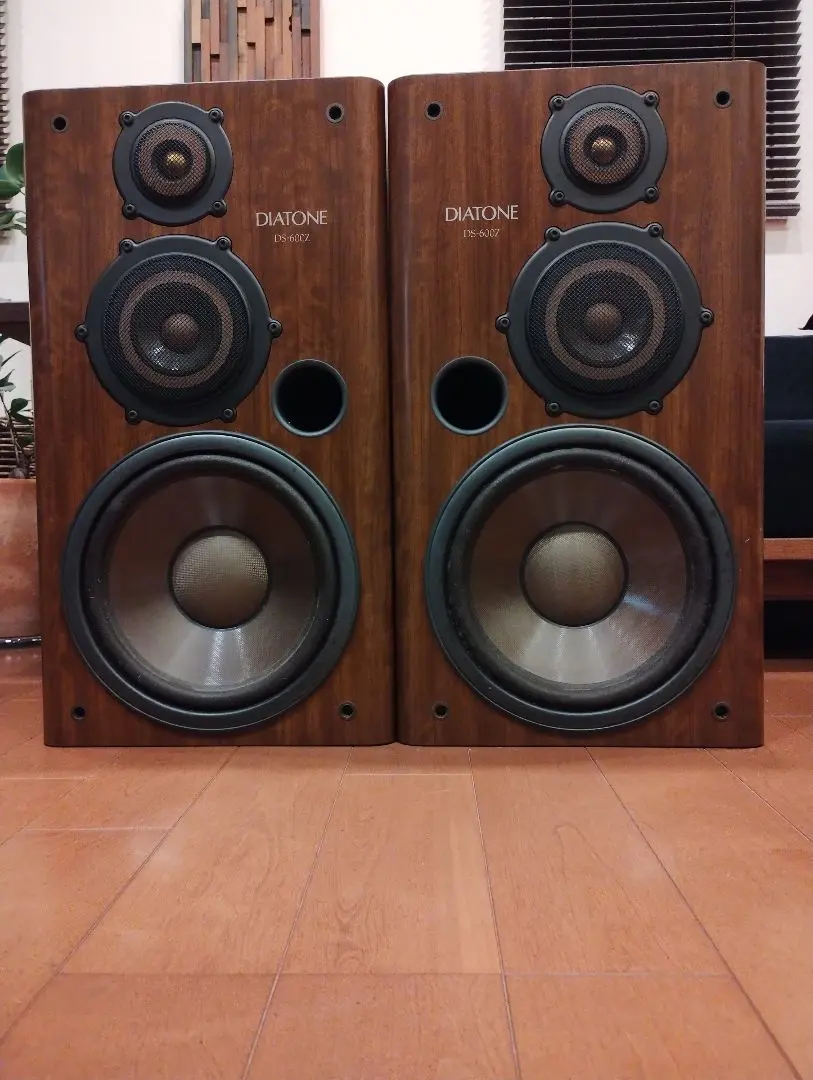 2026年最新】diatone ds-200zxの人気アイテム - メルカリ