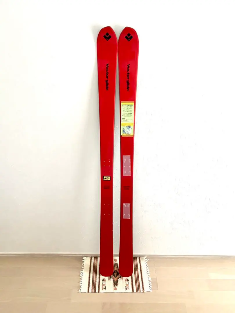 2026年最新】vector glide cordovaの人気アイテム - メルカリ