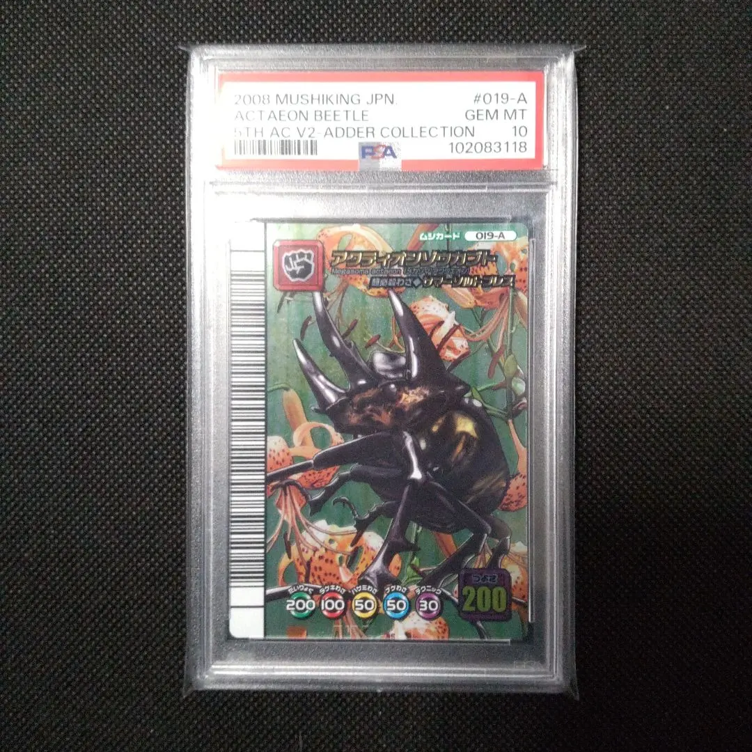 2026年最新】アクティオンゾウカブト アダーの人気アイテム - メルカリ