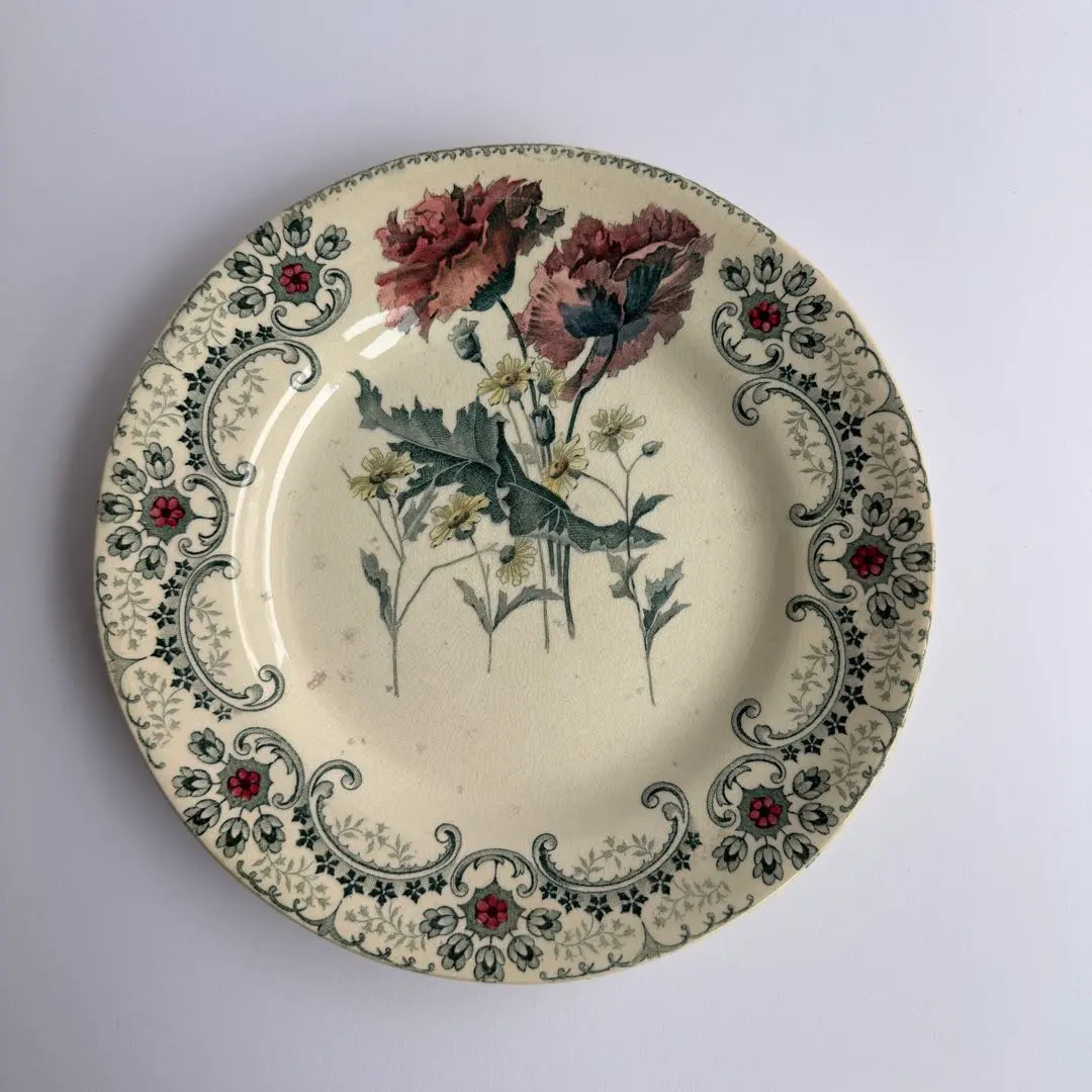 2026年最新】ショワジールロワ 切り花の人気アイテム - メルカリ