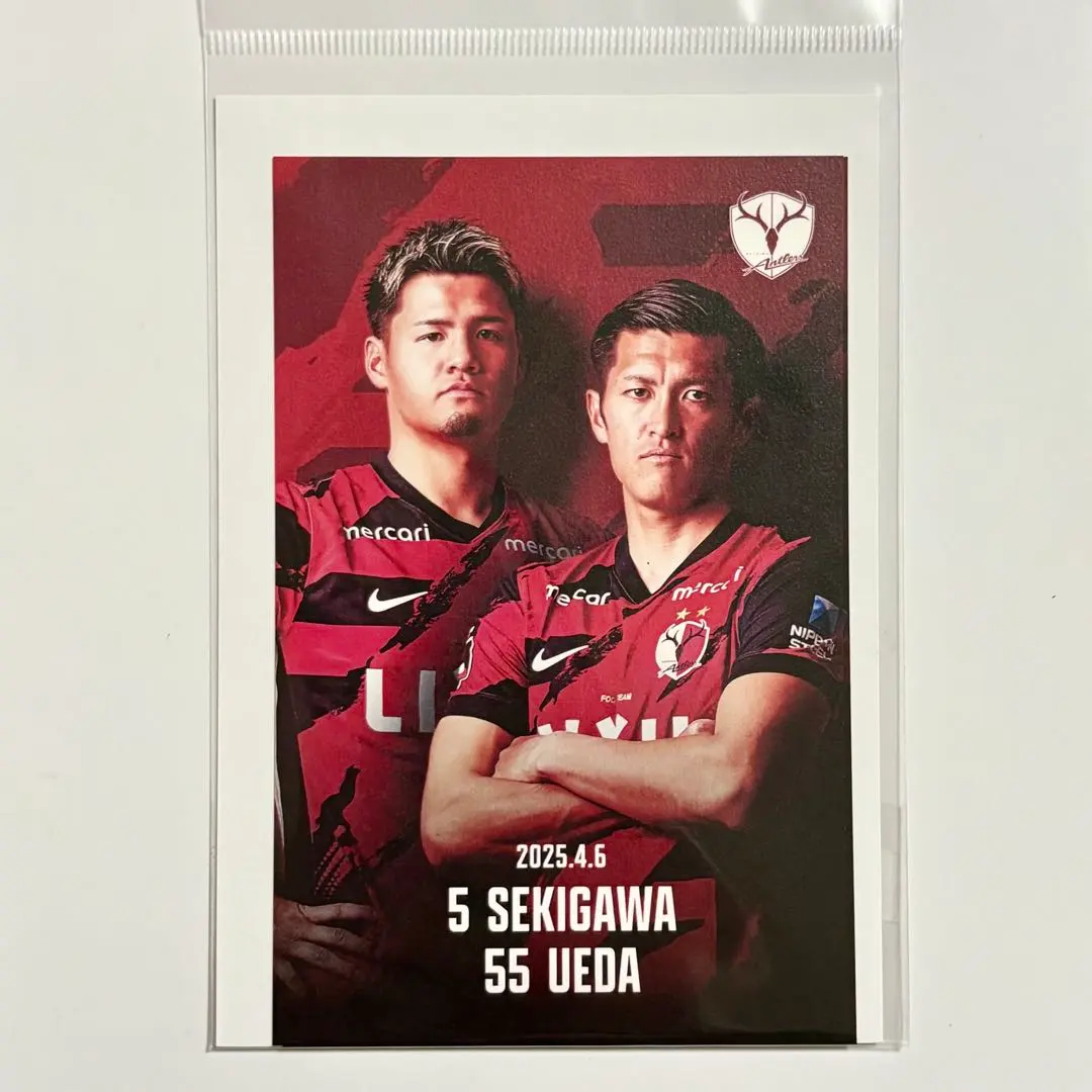 m77405979681_1.jpg?1763312880