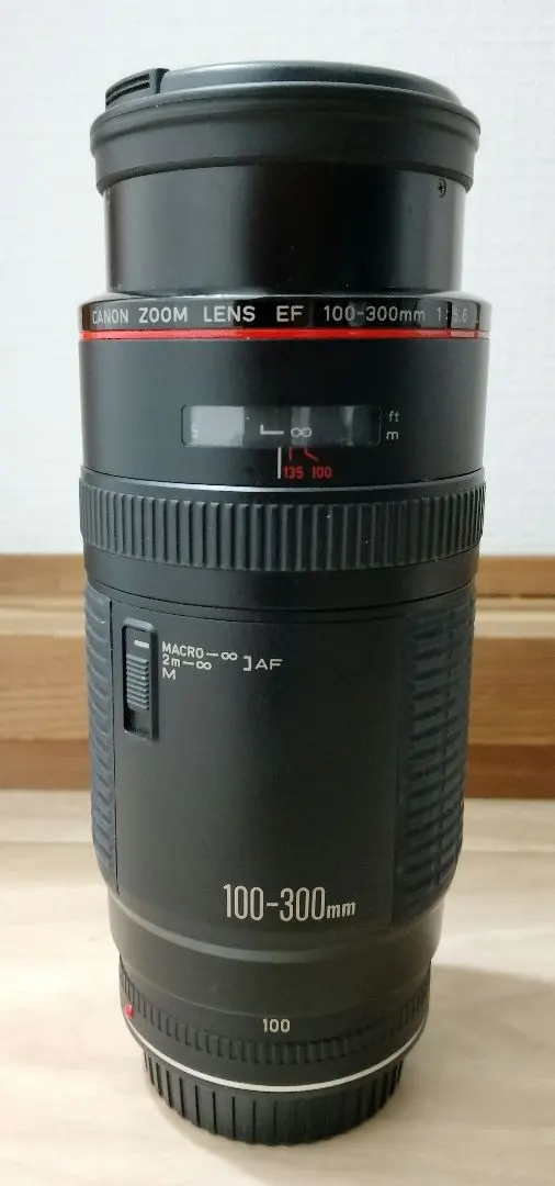 2026年最新】EF 100-300mm F5.6 Lの人気アイテム - メルカリ