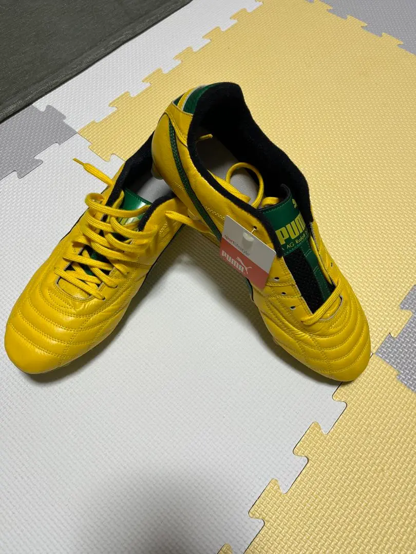 2026年最新】パラメヒコライトの人気アイテム - メルカリ