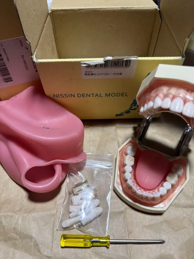 2026年最新】顎模型 ニッシンの人気アイテム - メルカリ