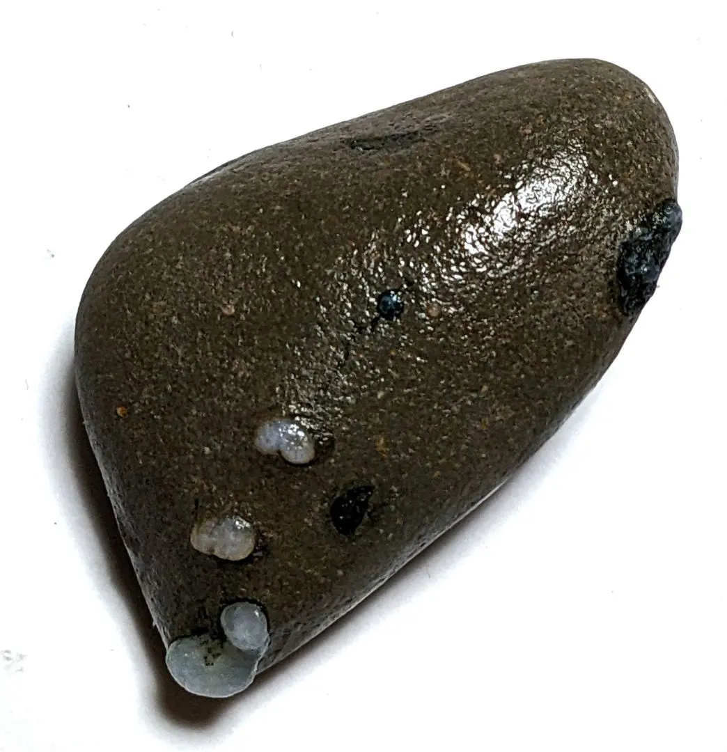 2026年最新】舎利母石の人気アイテム - メルカリ