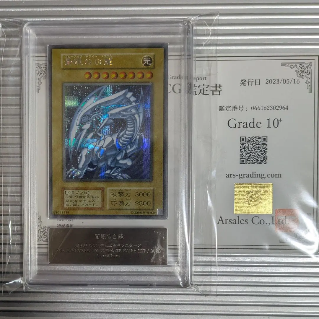 2026年最新】シクブル arsの人気アイテム - メルカリ