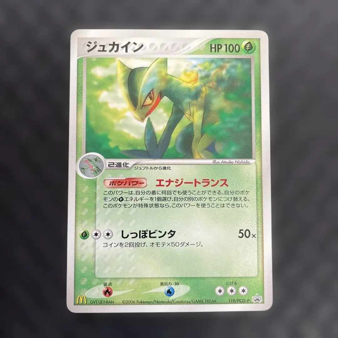 2026年最新】119/PCG-P ジュカインの人気アイテム - メルカリ